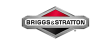 Briggs & Stratton