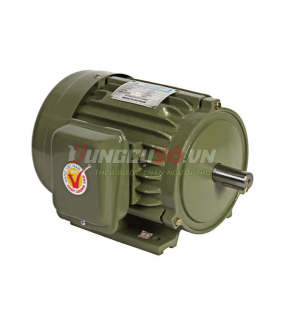 Mô tơ vỏ gang 2HP Hồng Ký HKM234
