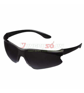 Kính bảo hộ Total TSP305