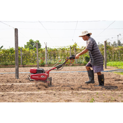 Máy xới đất Honda FJ500 T