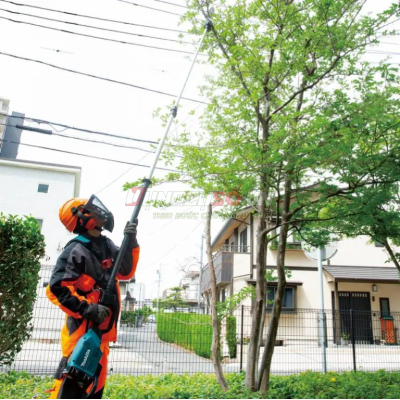 Máy cưa cành trên cao Makita DUA301ZB