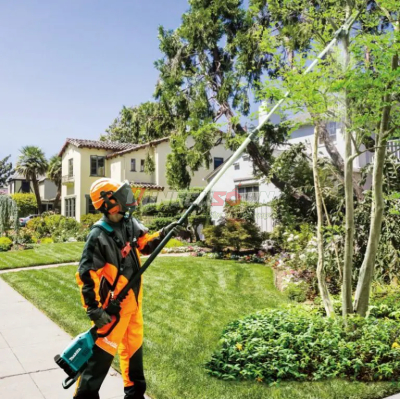 Máy cưa cành trên cao Makita DUA301ZB