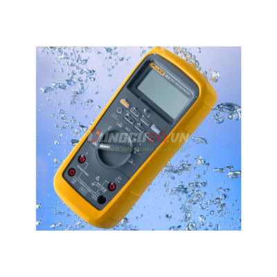 Đồng hồ vạn năng Fluke 28 II