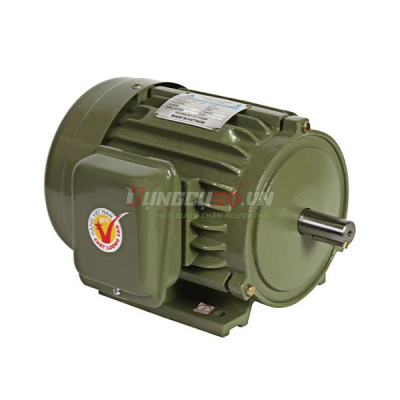 Mô tơ vỏ gang 3HP Hồng Ký HKM312