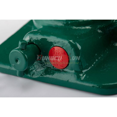 Con đội 20 tấn Sata 97808A